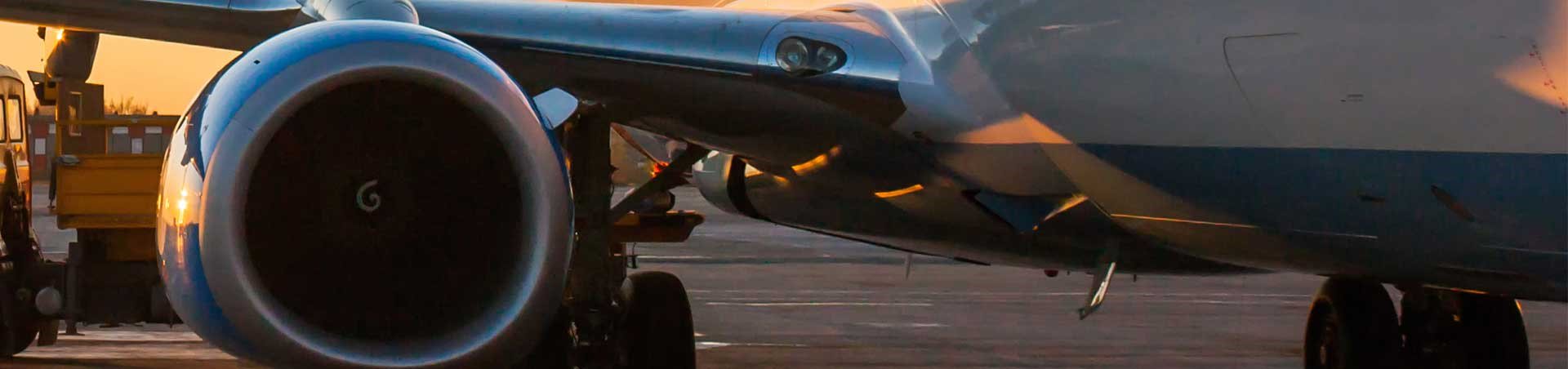 Plane wing and engine