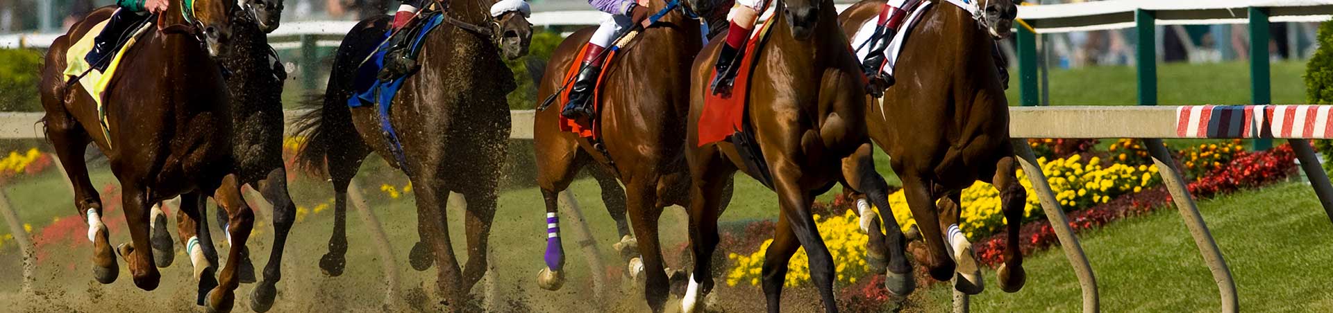 Horse racing