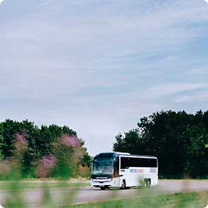 A coach in pleasant nature scenery