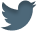 Twitter Icon