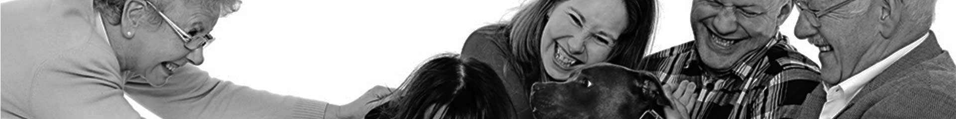 Travel across the UK & Europe with National Express