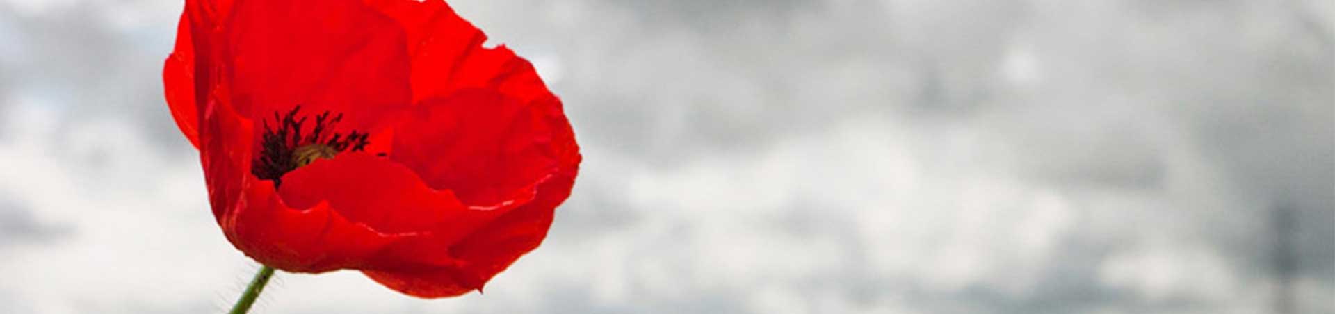 Save on coach travel with the Royal British Legion