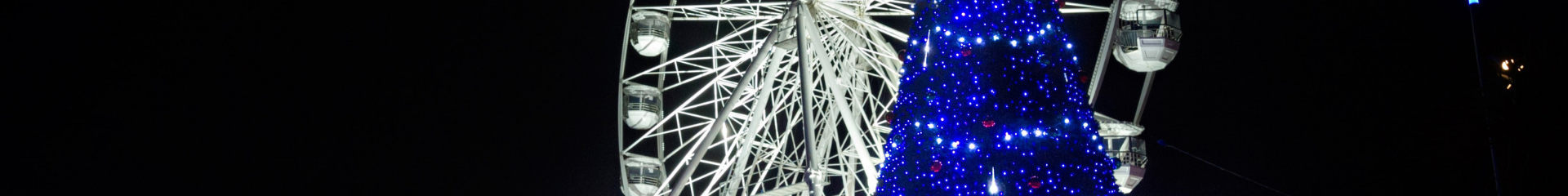 Bournemouth Christmas Tree Wonderland