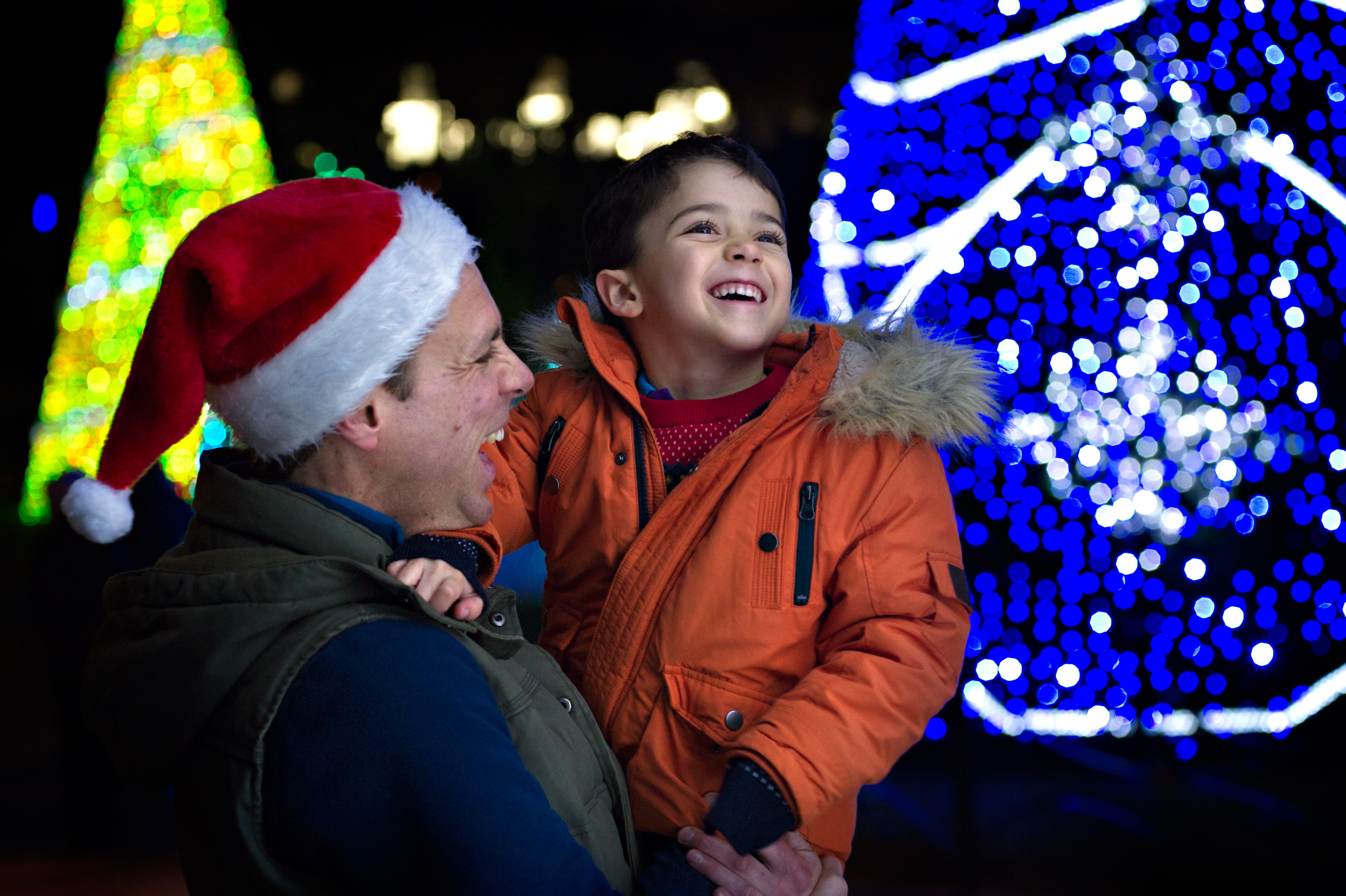 Bournemouth Christmas Tree Wonderland