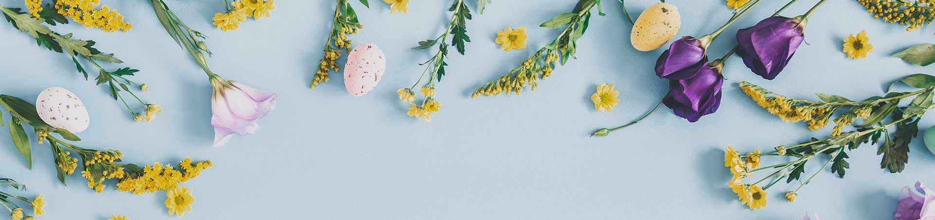 Travel across the UK by coach this Easter