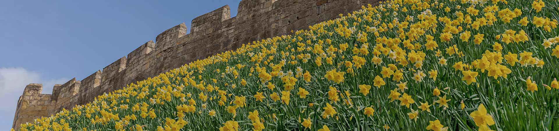 Travel across the UK by coach with National Express