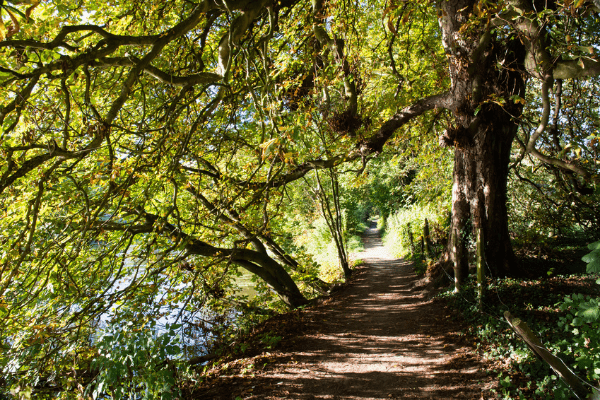 Thames Path